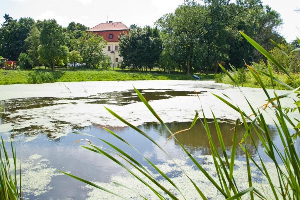 Palac Kietlin Niemcza Exteriör bild